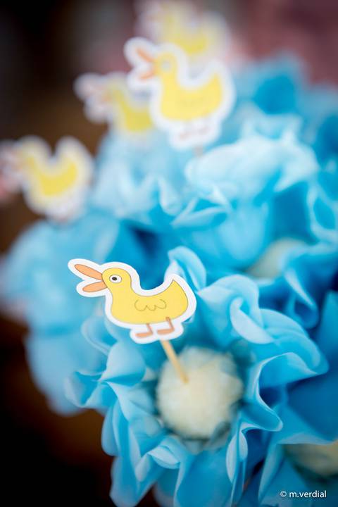 fotografia de festa infantil campinas'