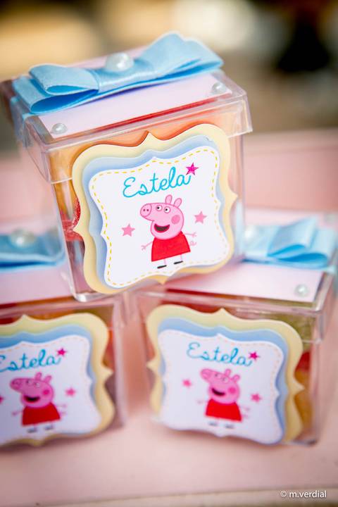 fotografia de festa infantil campinas'