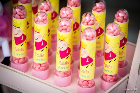 fotografia de festa infantil campinas'