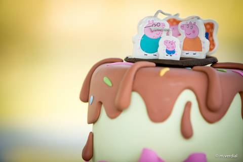 fotografia de festa infantil campinas'