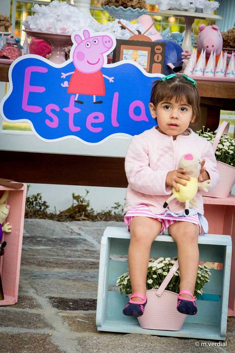 fotografia de festa infantil campinas'