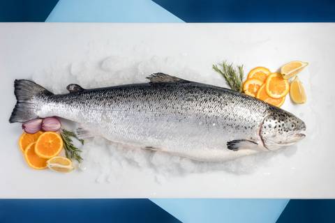 Carla Costa Fotografia de Alimentos  registroamesa - Pescados - Belo Horizonte  MG'