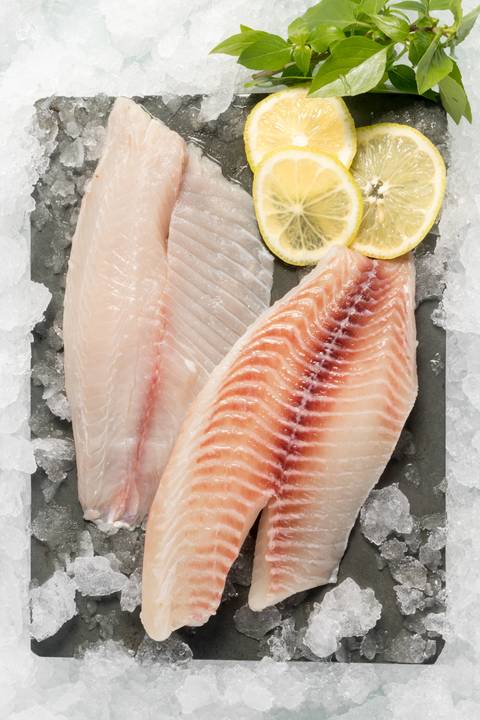 Carla Costa Fotografia de Alimentos BH - registroamesa - Pescados '