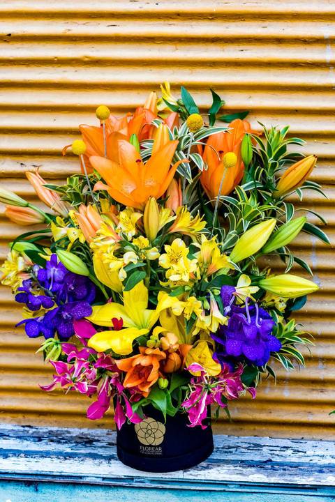 Carla Costa Fotografia de Produtos - Editorial - buque de flores - Belo Horizonte  MG '