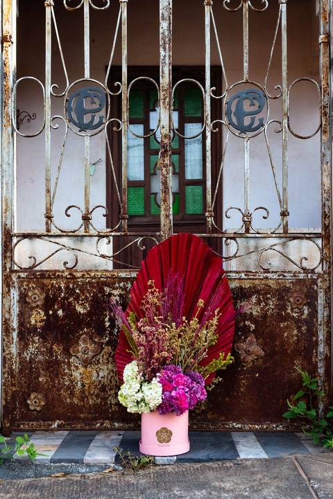 Carla Costa Fotografia - Editorial - buque de flores - Belo Horizonte  MG '