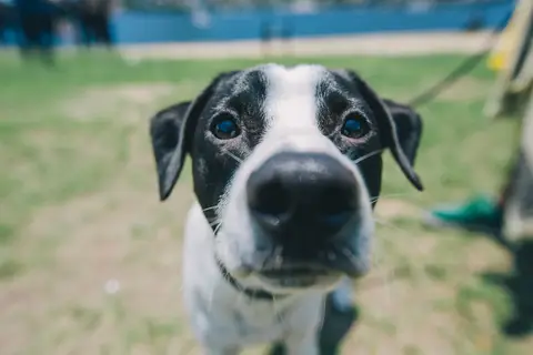 fotografia-formatura-rj-formandos-rj-museu-do-amanha-graduacao-ensaio-externo'