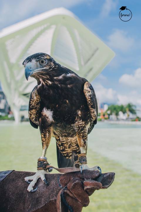 fotos-de-formatura-rj-graduacao-ensaio-externo-museu-do-amanha'