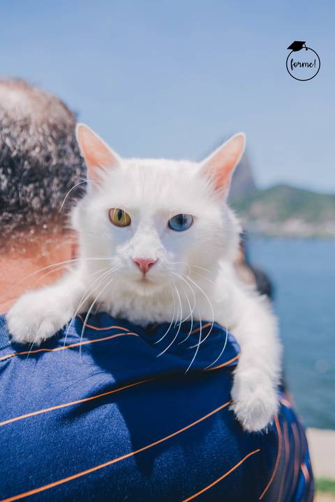 fotos-de-formatura-aterro-do-flamengo-rj-ensaio-externo-nutricao'