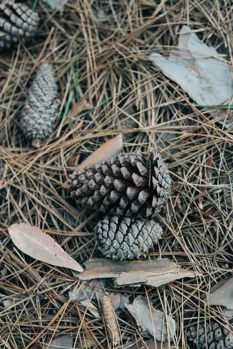'