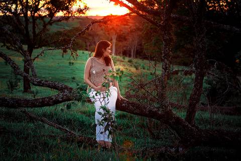 gravida sentada em arvore em por do sol em ensaio de gestante na zona rural de mandaguari na regiao de maringa'