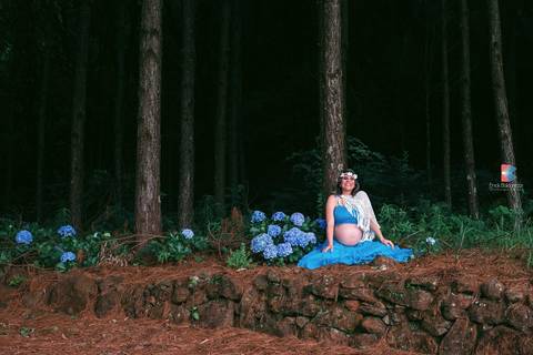 ensaio de gestante na floresta'