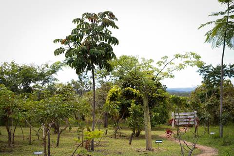 Turismo Rural em Pirenópolis - Goiás. Pousada. Fazenda. Foto: Wenderson Araujo/Trilux'