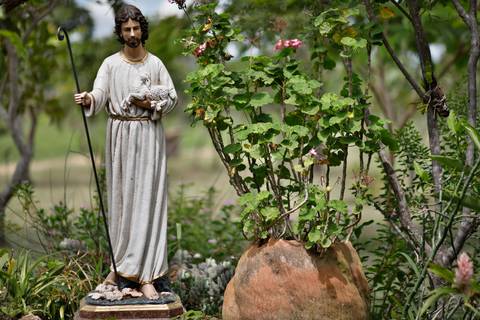 Turismo Rural em Pirenópolis - Goiás. Pousada. Fazenda. Bom pastor. Imagem. Foto: Wenderson Araujo/Trilux'