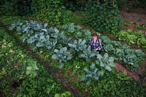 Turismo Rural em Pirenópolis - Goiás. Pousada. Fazenda. Foto: Wenderson Araujo/Trilux'