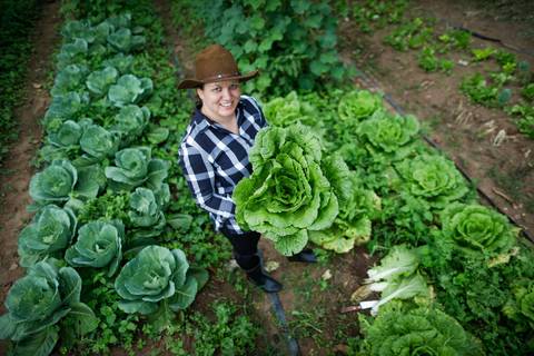 Turismo Rural em Pirenópolis - Goiás. Pousada. Fazenda. Foto: Wenderson Araujo/Trilux'