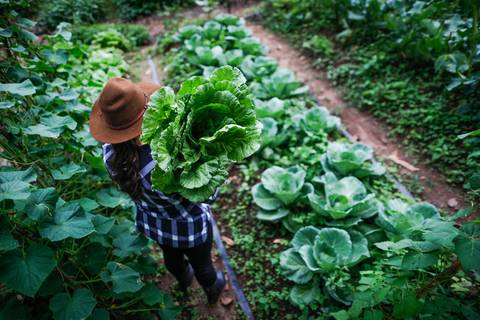 Turismo Rural em Pirenópolis - Goiás. Pousada. Fazenda. Foto: Wenderson Araujo/Trilux'