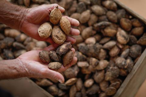 Turismo Rural em Pirenópolis - Goiás. Pousada. Fazenda. Foto: Wenderson Araujo/Trilux'