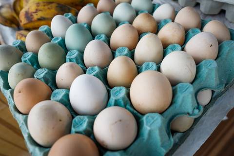 Turismo Rural em Pirenópolis - Goiás. Pousada. Fazenda. Ovos. Foto: Wenderson Araujo/Trilux'