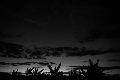 Ensaio fotográfico, as bananas pelo Brasil. Fotos: Wenderson Araujo/Trilux'