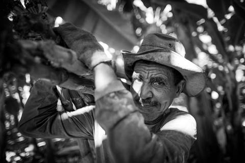 Ensaio fotográfico, as bananas pelo Brasil. Fotos: Wenderson Araujo/Trilux'