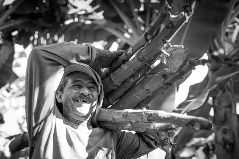 Ensaio fotográfico, as bananas pelo Brasil. Fotos: Wenderson Araujo/Trilux'