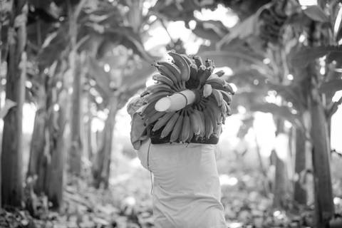 Ensaio fotográfico, as bananas pelo Brasil. Fotos: Wenderson Araujo/Trilux'