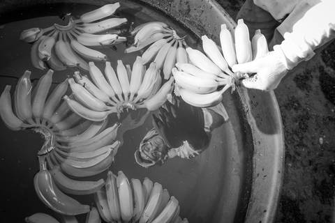 Ensaio fotográfico, as bananas pelo Brasil. Fotos: Wenderson Araujo/Trilux'