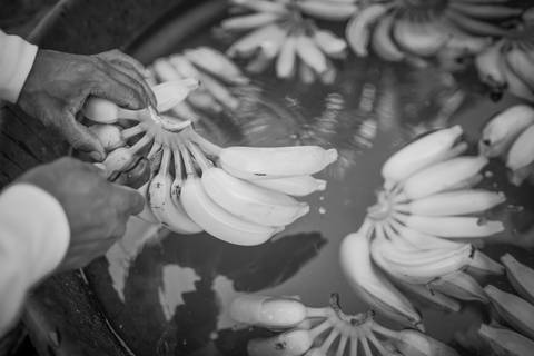 Ensaio fotográfico, as bananas pelo Brasil. Fotos: Wenderson Araujo/Trilux'