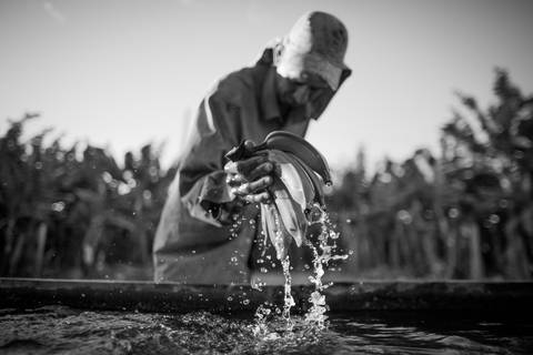 Ensaio fotográfico, as bananas pelo Brasil. Fotos: Wenderson Araujo/Trilux'