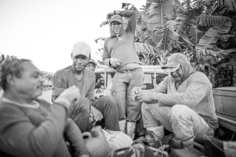 Ensaio fotográfico, as bananas pelo Brasil. Fotos: Wenderson Araujo/Trilux'