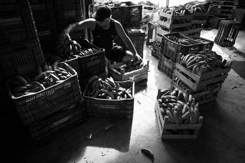 Ensaio fotográfico, as bananas pelo Brasil. Fotos: Wenderson Araujo/Trilux'