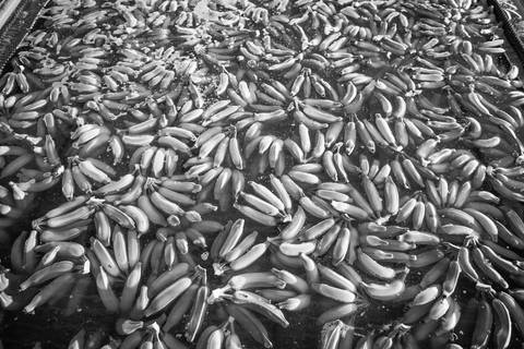 Ensaio fotográfico, as bananas pelo Brasil. Fotos: Wenderson Araujo/Trilux'