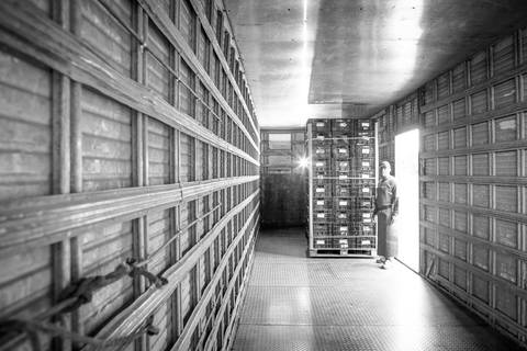 Ensaio fotográfico, as bananas pelo Brasil. Fotos: Wenderson Araujo/Trilux'