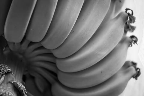 Ensaio fotográfico, as bananas pelo Brasil. Fotos: Wenderson Araujo/Trilux'