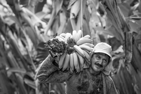 Ensaio fotográfico, as bananas pelo Brasil. Fotos: Wenderson Araujo/Trilux'