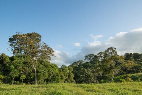 Fotografias para o Banco de imagens da Confederação da Agricultura e Pecuária do Brasil - CNA. Fotos Wenderson Araujo/Trilux'