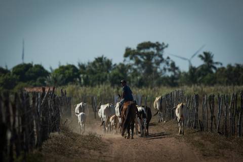 Fotografias para o Banco de imagens da Confederação da Agricultura e Pecuária do Brasil - CNA. Fotos Wenderson Araujo/Trilux'