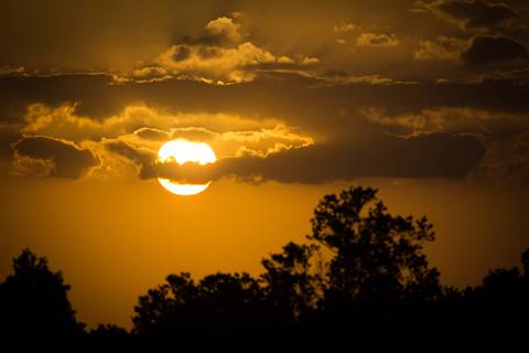 Fotografias para o Banco de imagens da Confederação da Agricultura e Pecuária do Brasil - CNA. Fotos Wenderson Araujo/Trilux'
