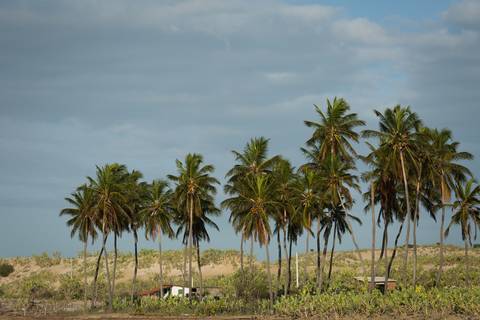 Fotografias para o Banco de imagens da Confederação da Agricultura e Pecuária do Brasil - CNA. Fotos Wenderson Araujo/Trilux'
