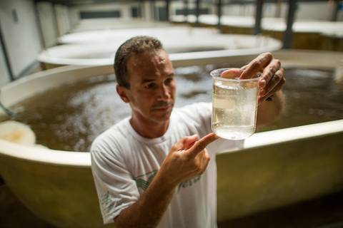 Fotografias para o Banco de imagens da Confederação da Agricultura e Pecuária do Brasil - CNA. Fotos Wenderson Araujo/Trilux'