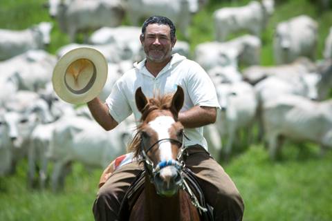 Fotografias para o Banco de imagens da Confederação da Agricultura e Pecuária do Brasil - CNA. Fotos Wenderson Araujo/Trilux'