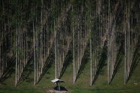 Fotografias para o Banco de imagens da Confederação da Agricultura e Pecuária do Brasil - CNA. Fotos Wenderson Araujo/Trilux'