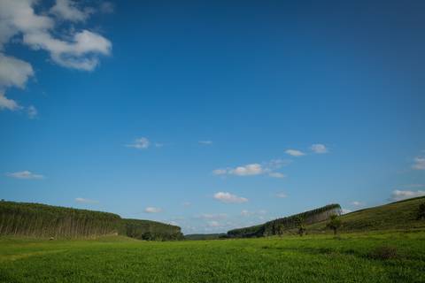 Fotografias para o Banco de imagens da Confederação da Agricultura e Pecuária do Brasil - CNA. Fotos Wenderson Araujo/Trilux'
