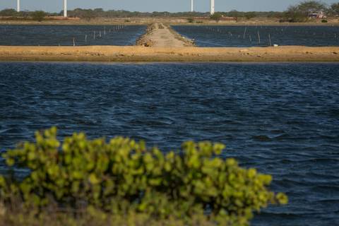 Fotografias para o Banco de imagens da Confederação da Agricultura e Pecuária do Brasil - CNA. Fotos Wenderson Araujo/Trilux'