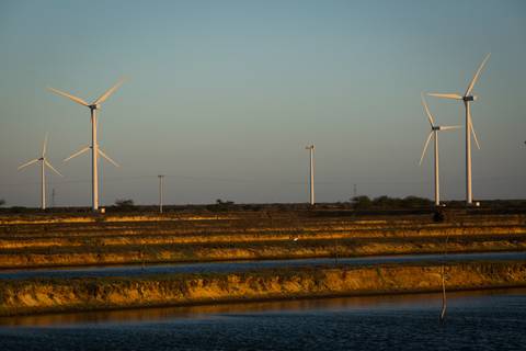Fotografias para o Banco de imagens da Confederação da Agricultura e Pecuária do Brasil - CNA. Fotos Wenderson Araujo/Trilux'