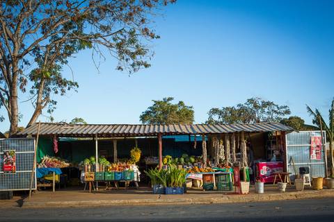 Fotografias para o Banco de imagens da Confederação da Agricultura e Pecuária do Brasil - CNA. Fotos Wenderson Araujo/Trilux'