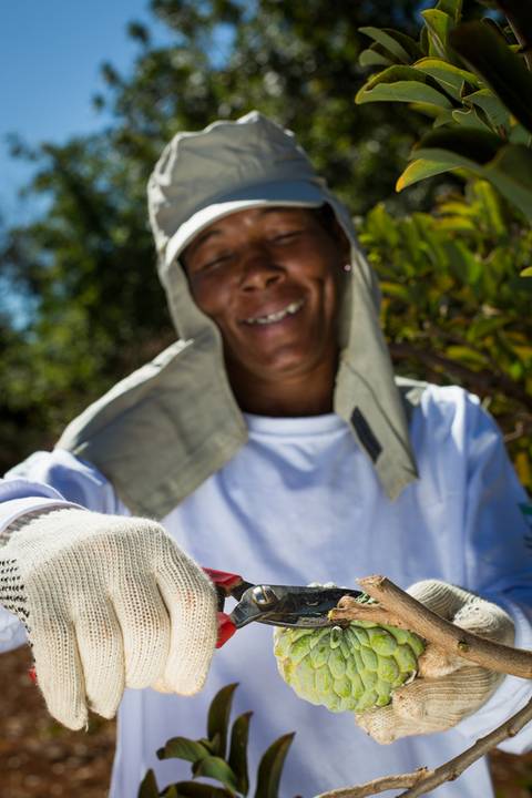 Fotografias para o Banco de imagens da Confederação da Agricultura e Pecuária do Brasil - CNA. Fotos Wenderson Araujo/Trilux'