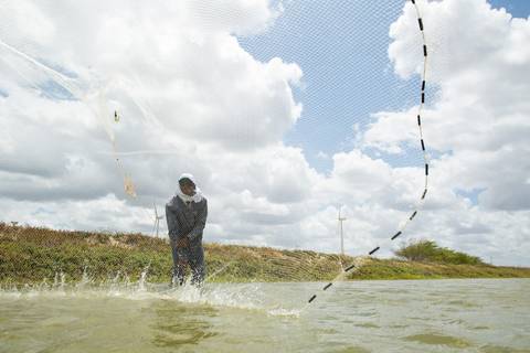 Fotografias para o Banco de imagens da Confederação da Agricultura e Pecuária do Brasil - CNA. Fotos Wenderson Araujo/Trilux'