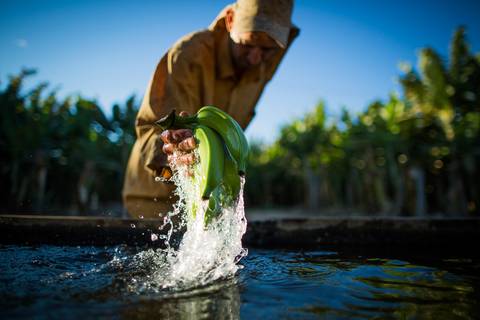 Fotografias para o Banco de imagens da Confederação da Agricultura e Pecuária do Brasil - CNA. Fotos Wenderson Araujo/Trilux'