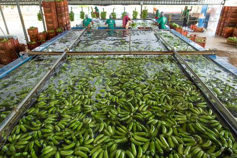 Fotografias para o Banco de imagens da Confederação da Agricultura e Pecuária do Brasil - CNA. Fotos Wenderson Araujo/Trilux'